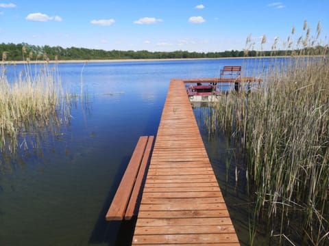 Lake view