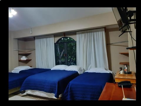 CIUDAD DE MEXICO UNAM Guest House Casa de Huespedes Bed and Breakfast in Mexico City