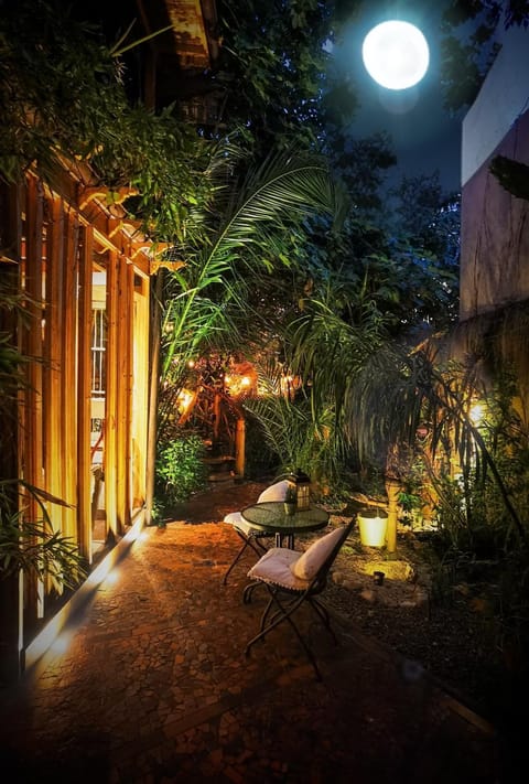 Patio, Night, Garden, Garden view