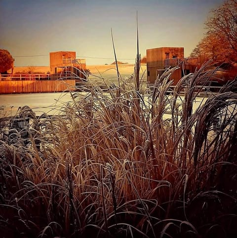Manège de la Chapinière - DadaLoge tiny-house Nature lodge in Centre-Val de Loire