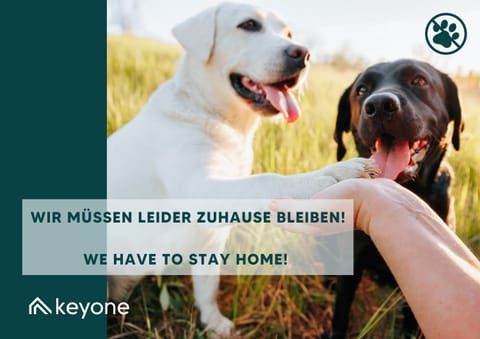 Appartements Achensee Apartment in Tyrol