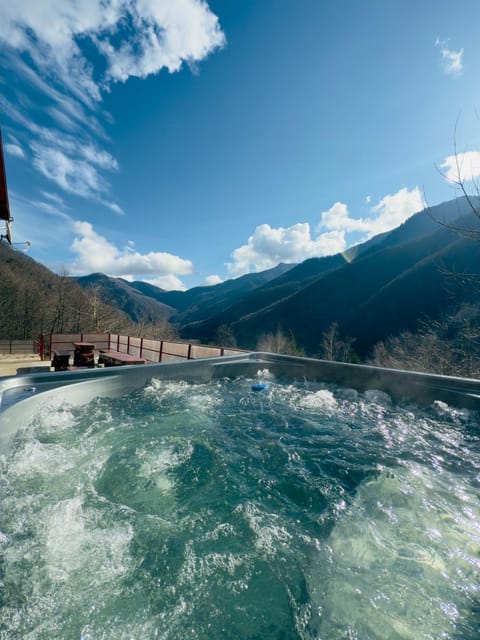 Cabana Oana Retezat House in Serbia