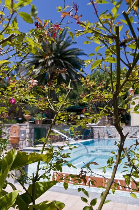 Pool view