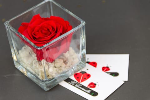 Logo/Certificate/Sign