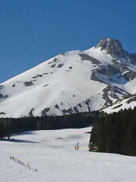 Ammoglja House in Abruzzo