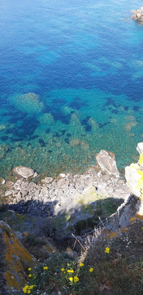 ELSA. Apartment in La Ciotat