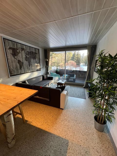 L'appart de Serre Che Apartment in Saint-Chaffrey