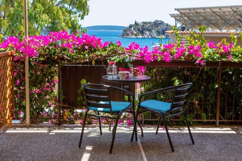 Stella Rooms Apartment hotel in Argolis, Greece