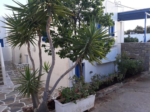 Holidays in Paros Apartment in Paros, Greece