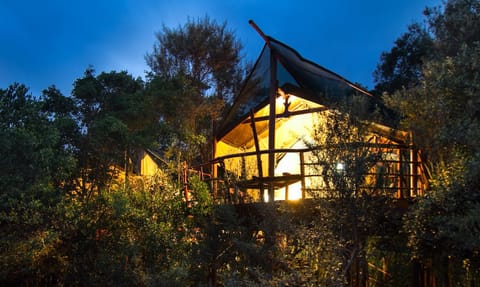 Property building, Night, Natural landscape