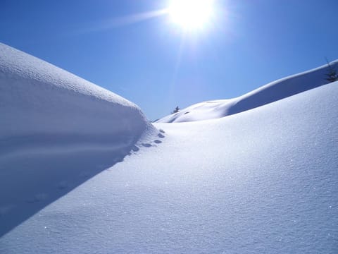 Winter, Area and facilities