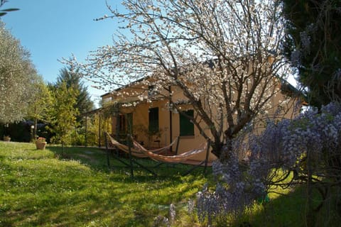 Casa Elisabetta House in Tuscany