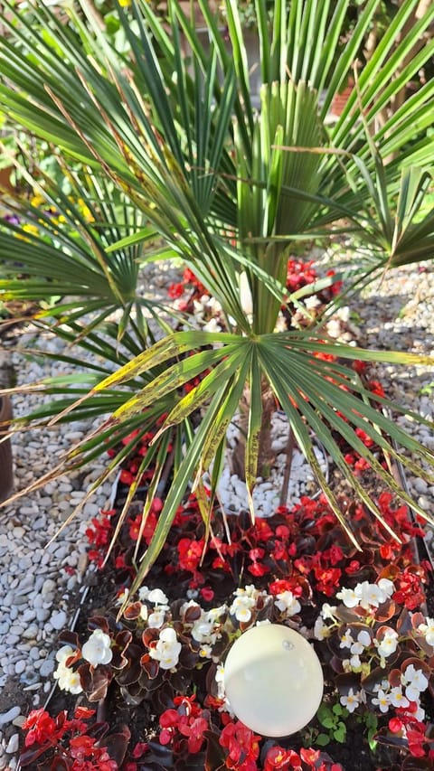 Santima Apartments Apartment in Lika-Senj County