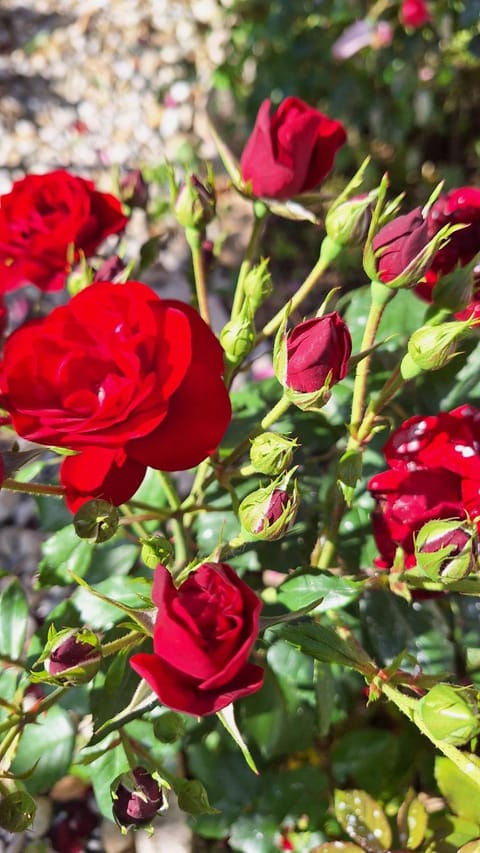 Santima Apartments Apartment in Lika-Senj County