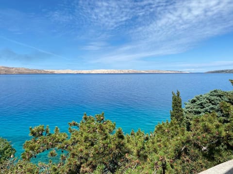 Beachfront apartments Carlo Apartment in Zadar County