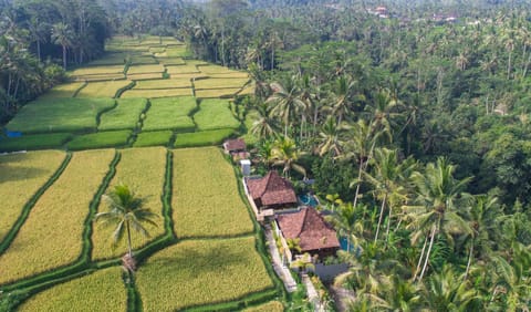 Garden view, Landmark view, Pool view, River view