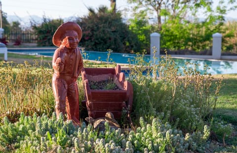 Natural landscape, Garden, Garden view, Swimming pool