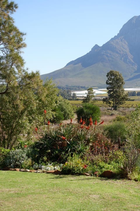 Natural landscape, Garden, Hiking