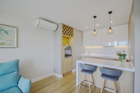 Penthouse Apartment in Lithuania