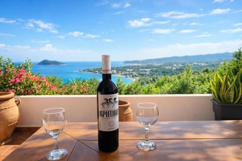 Villa Seli Villa in Crete