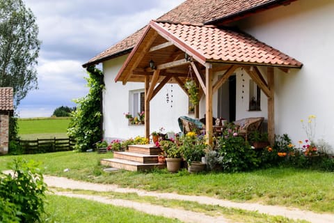 Property building, Garden, Balcony/Terrace