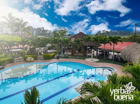 Day, Natural landscape, Garden, Pool view, Swimming pool