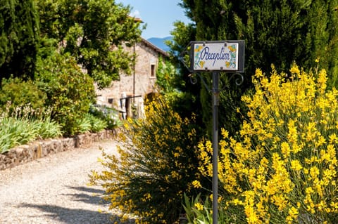 Day, Property logo or sign, Natural landscape, Garden, Garden view