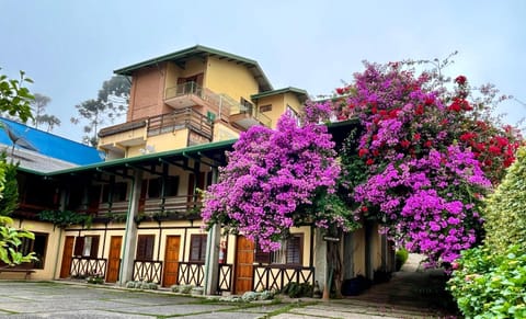 Property building, Spring, Garden