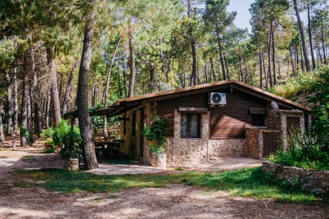 Property building, Natural landscape, Garden, Garden view