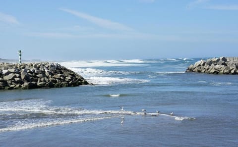 Villa spacieuse proche de L'océan House in Vila Praia de Ancora