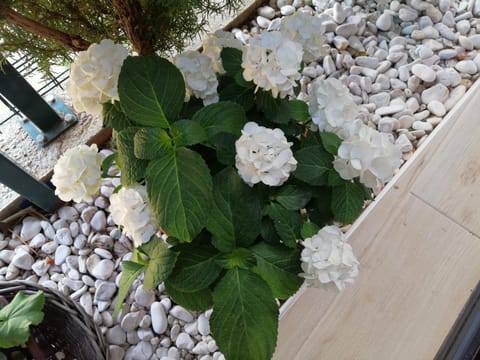 Natalija Apartment in Šibenik-Knin County, Croatia