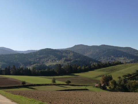 Mountain view
