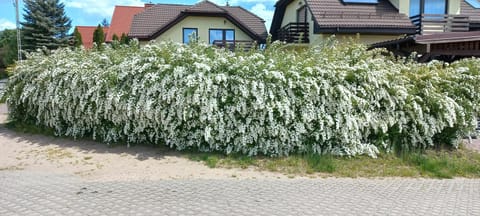 Apartament Słoneczny Apartment in Gdansk