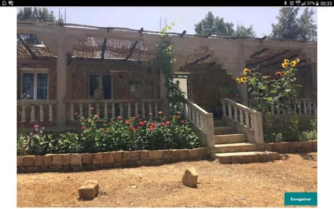 Property building, Patio, Facade/entrance, Garden
