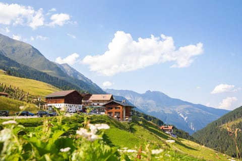 Neighbourhood, Natural landscape, Hiking, Mountain view