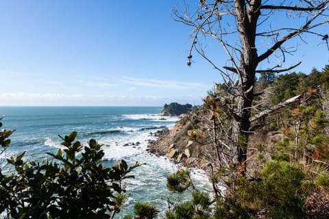 Feelin' Beachy House in Sonoma County
