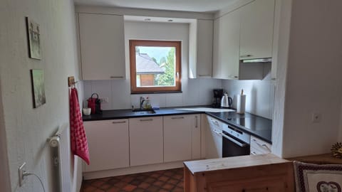 Kitchen or kitchenette, dishwasher, oven, stove