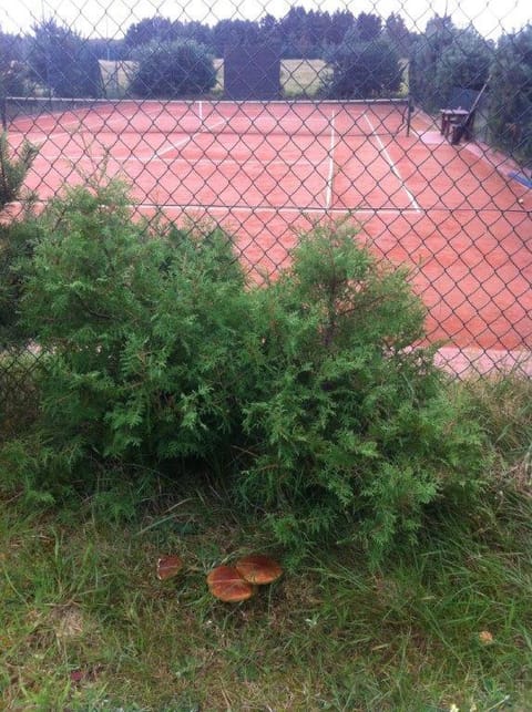 Tennis court