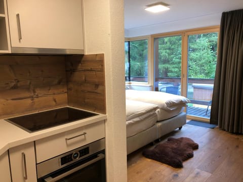 Haus Galileo Apartment in Zermatt