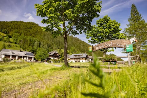Property building, Day, Natural landscape