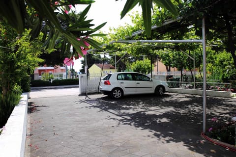 Patio, Balcony/Terrace