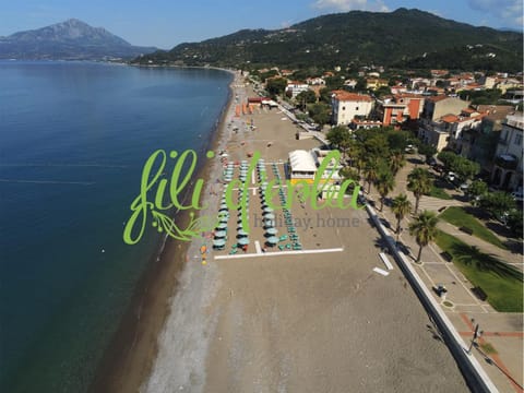 Bird's eye view, Summer