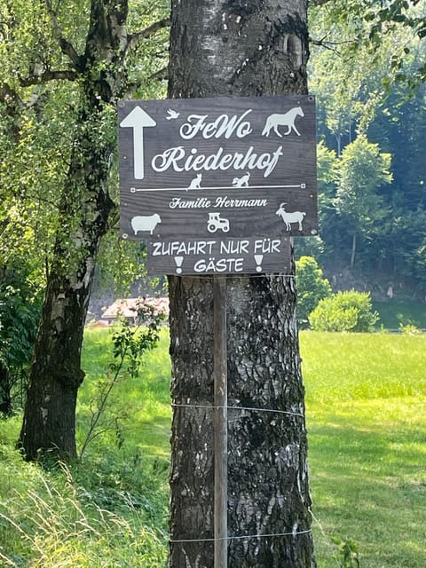 Riederhof Apartment in Salzburgerland