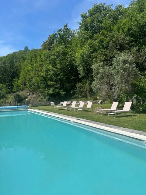 Swimming pool, sunbed