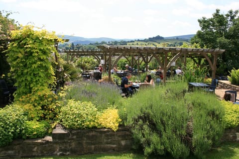 Garden, View (from property/room), Balcony/Terrace