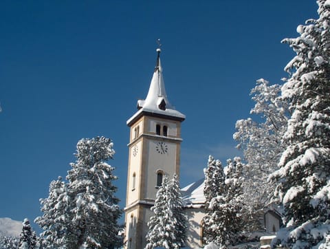 Winter, Area and facilities