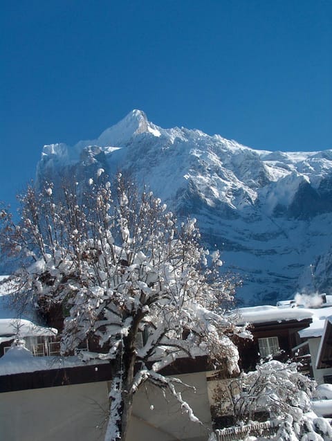Facade/entrance, Winter, Area and facilities