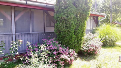 Property building, Garden view