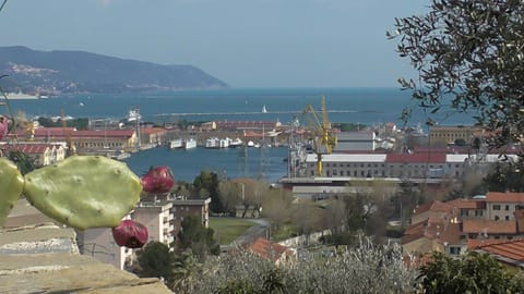 Spring, Sea view