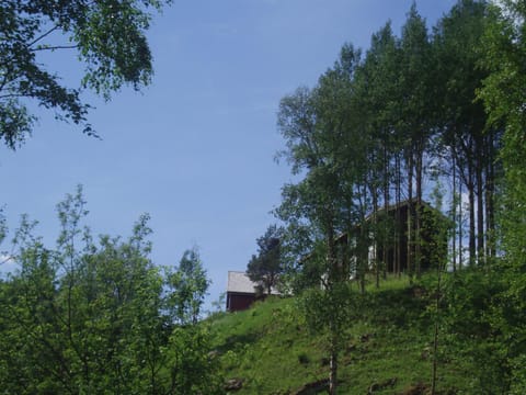 Property building, Summer